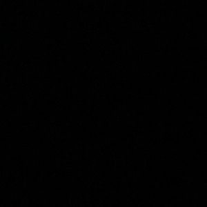 Meet your Posher, Peyton